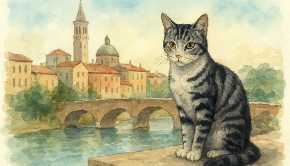 Las Ciudades del Mundo donde los Gatos Tienen un Rol Protagónico